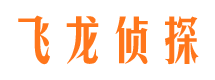 山亭飞龙私家侦探公司